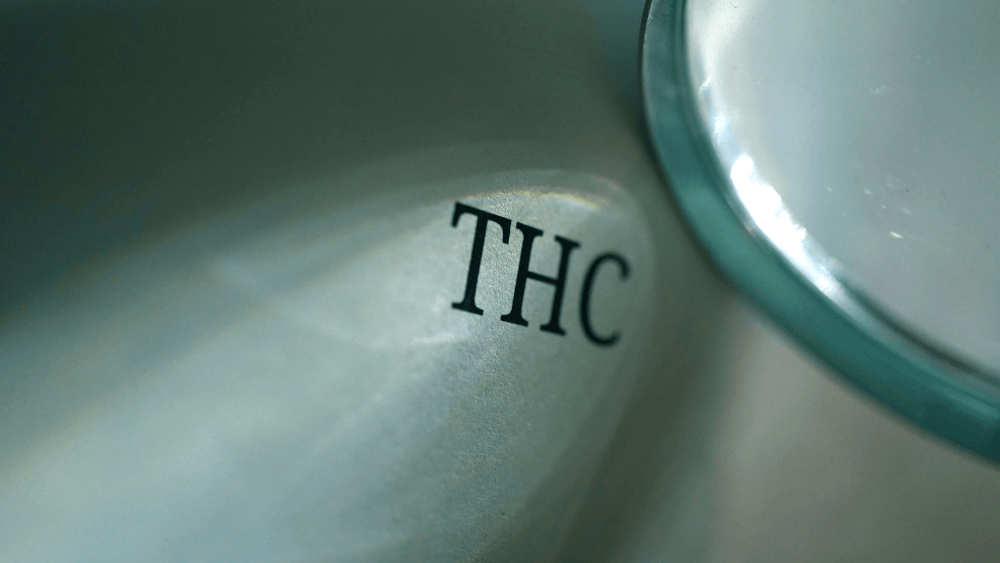 THC Legalisierung in den USA