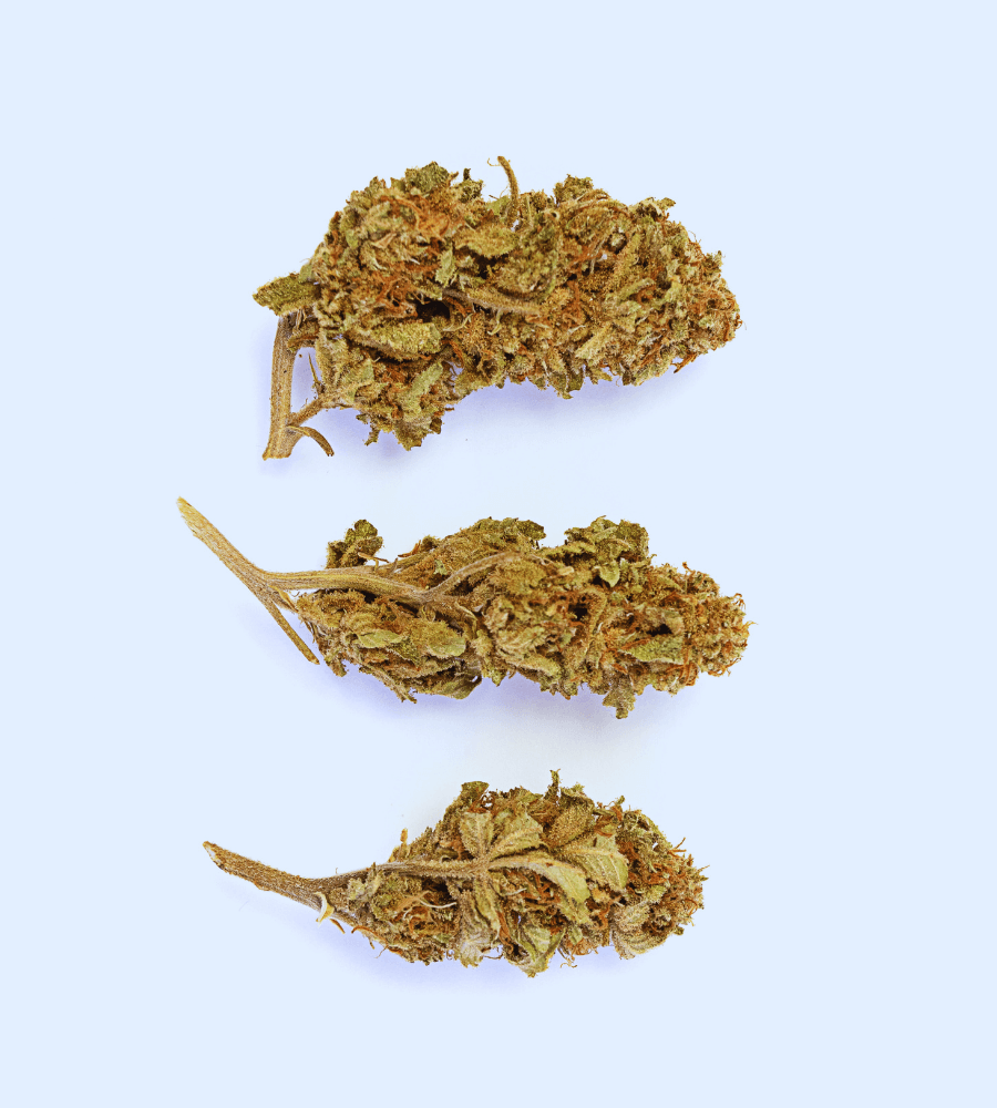 CB9 Blüten Cannabis CBD